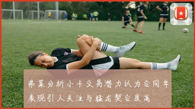 弗莱分析小卡交易潜力认为合同年表现引人关注与猛龙契合度高